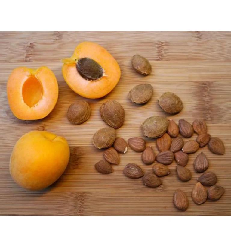 what are apricot kernels